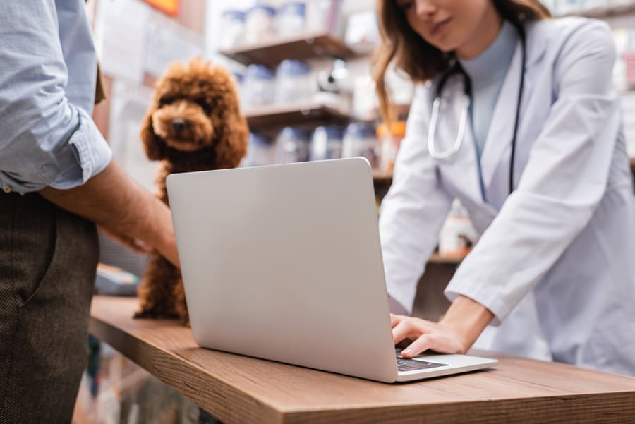 Cropped view of blurred veterinarian using laptop near customer and poodle in pet shop
