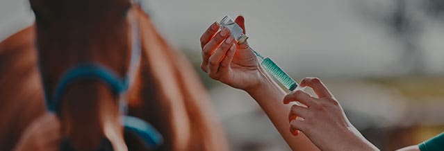 Horse, woman veterinary and medicine syringe outdoor for health and wellness in countryside.