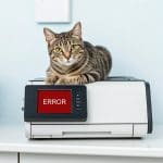 a cat sitting on a printer