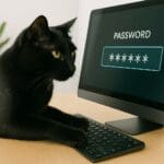 a black cat typing a password on a keyboard